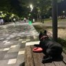 Arzulu sohbetler profil fotoğrafı