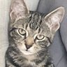 Laine7248 profil fotoğrafı