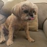 bonka bobby's profile picture