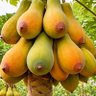 Фото профиля Nour