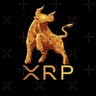 XRP GURU 的头像