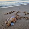 Lyn🐬 profil fotoğrafı