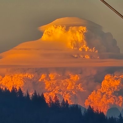 Brad604's profile picture