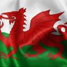 Фото профиля Welsh Man