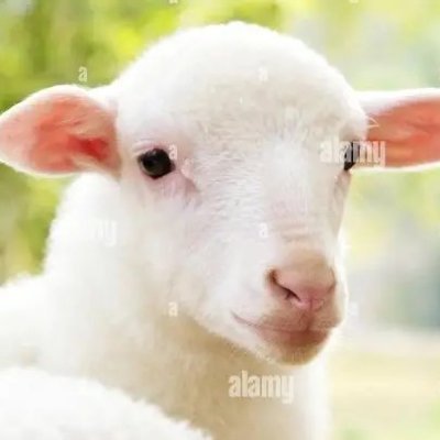 Johnword4444's profile picture