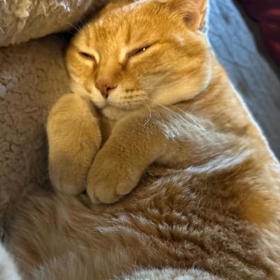 PragmaticMaemae's profile picture