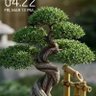 John Deere 的头像