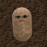 shahrzad's profile picture