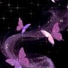 𝓨𝓪𝓼𝓶𝓲𝓷 𝓐𝓵𝓼𝓱𝓪𝓶 的头像