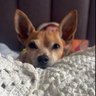 Angela:)'s profile picture