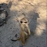 idk profil fotoğrafı