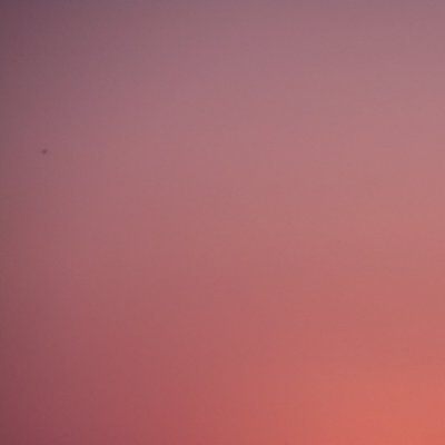 rif's profile picture