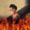 ريان الباشا's profile picture