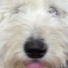 cla3die's profile picture