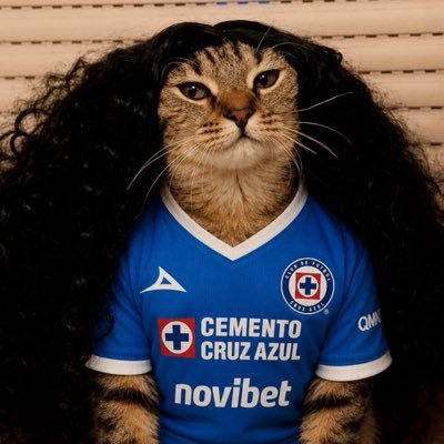 ج's profile picture