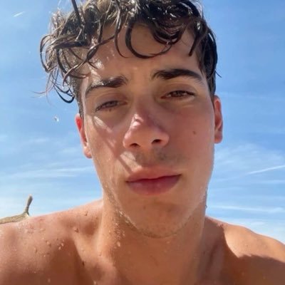 elortodenorris's profile picture