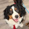 Profilbild von Charlie T