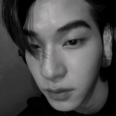 หมีตู๋²ᵗᵉᵉ's profile picture