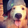 Profilbild von max