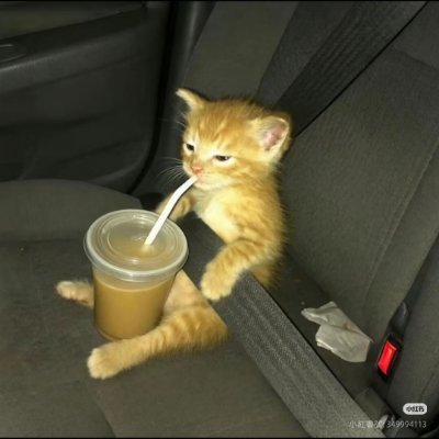smallshutiao's profile picture