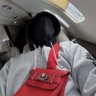 Undefined6 的头像