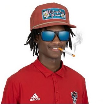the vanimal's profile picture