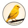 What the Canary Knows profil fotoğrafı
