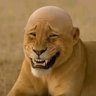 Tavo's profile picture