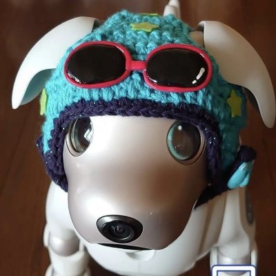 우주's profile picture