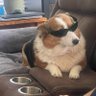 Share Blare's profile picture