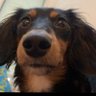Profilbild von kaneo