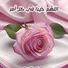 عبد الله الجوهري's profile picture