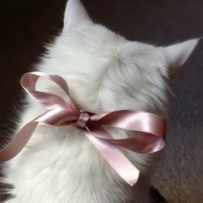 𝑚𝟺's profile picture