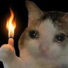 Profilbild von HV