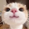 aru's profile picture