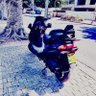 37 א 的头像