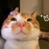 ruirui's profile picture