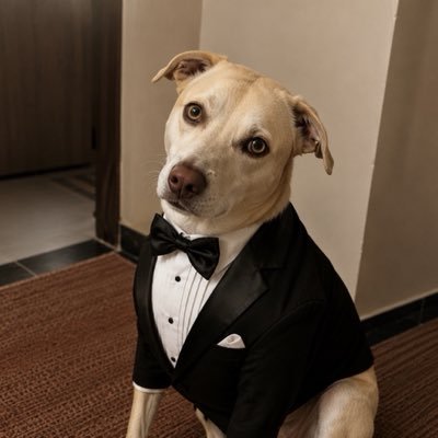 Josearcadiobuendia's profile picture