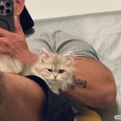 你的叔's profile picture