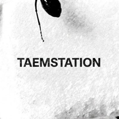태민음원총공팀 TAEMstation_Soft Violence's profile picture