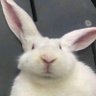 momolinkam profil fotoğrafı