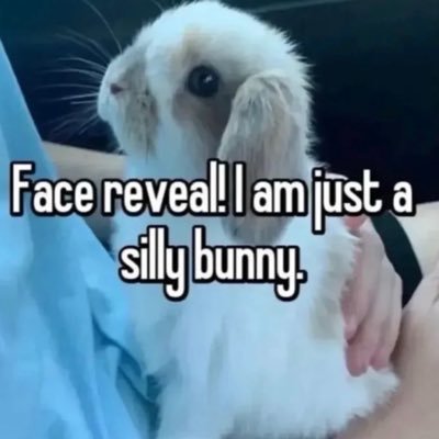 ok's profile picture