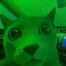 The Mayor's profile picture