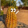 carl cacti 的头像