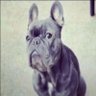 b's profile picture