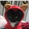Jamon de Res's profile picture