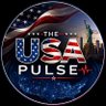 Profilbild von The USA Pulse