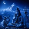 Profilbild von nandam