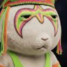 Profilbild von FenixFunk (!)