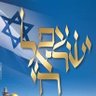 Jews Down Under-Shirlee.🎗 🇦🇺🇮🇱🏴󠁧󠁢󠁥󠁮󠁧󠁿 profil fotoğrafı